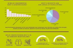 Infographic afbeelding