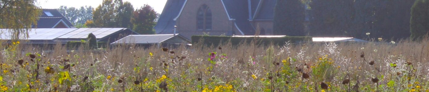 header afbeelding