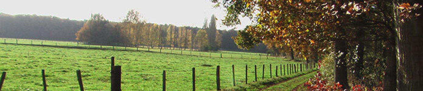 header afbeelding