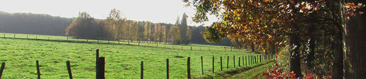 header afbeelding